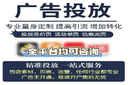 专业sem竞价托管服务，案例解析提升广告效果